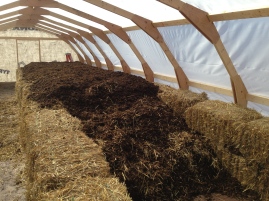 Making a manure hotbed as a germination table/heater